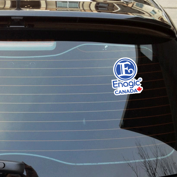 Enagic Kangen Leveluk Water Assorted Vinyl Waterproof Car Stickers 12 Pieces NEW