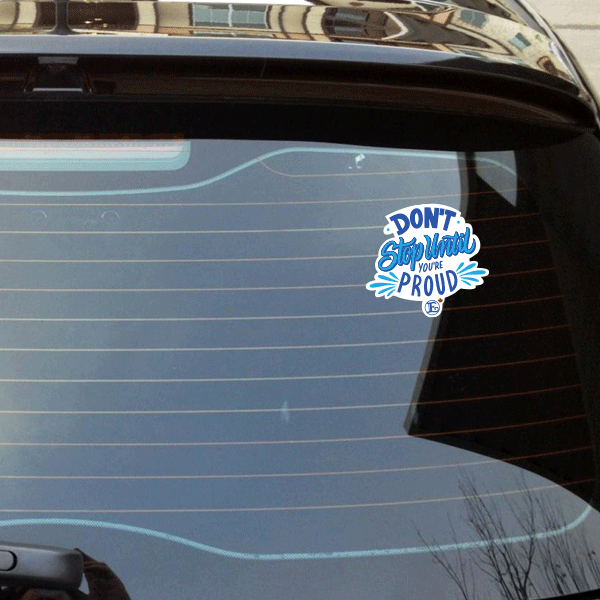 Enagic Kangen Leveluk Water Assorted Vinyl Waterproof Car Stickers 12 Pieces NEW