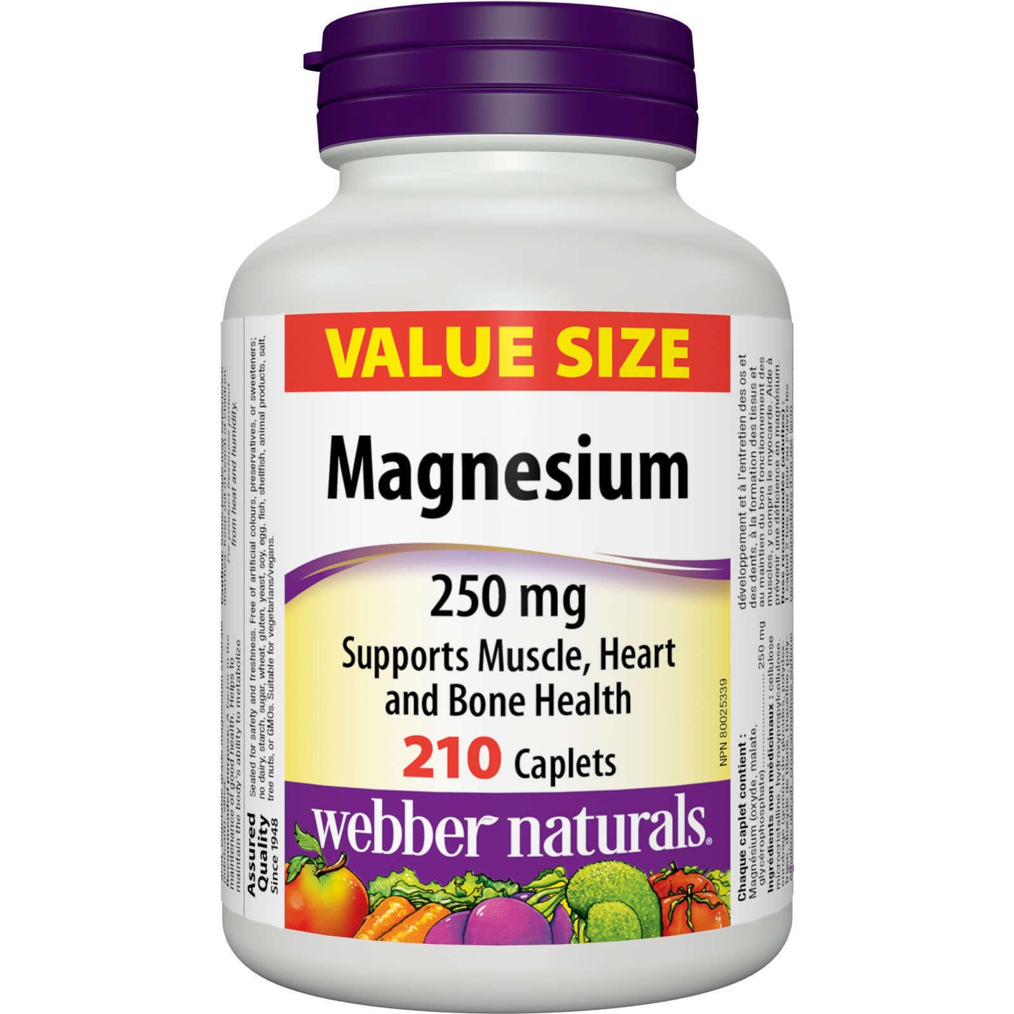 Webber Naturals 镁 250 毫克超值装生物可利用氧化骨 210 片全新