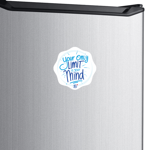 Enagic Kangen Leveluk Water Assorted Designs PVC Die-Cut Magnets 10 Pieces NEW