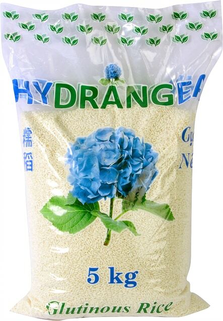 Hydrangea Glutinous Sticky Rice Premium Fragrant New Crop Grain Health ...