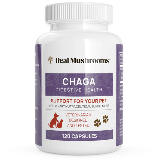 Real Mushrooms Organic Chaga Extract Capsules for Pets Non-GMO 120 Chews NEW