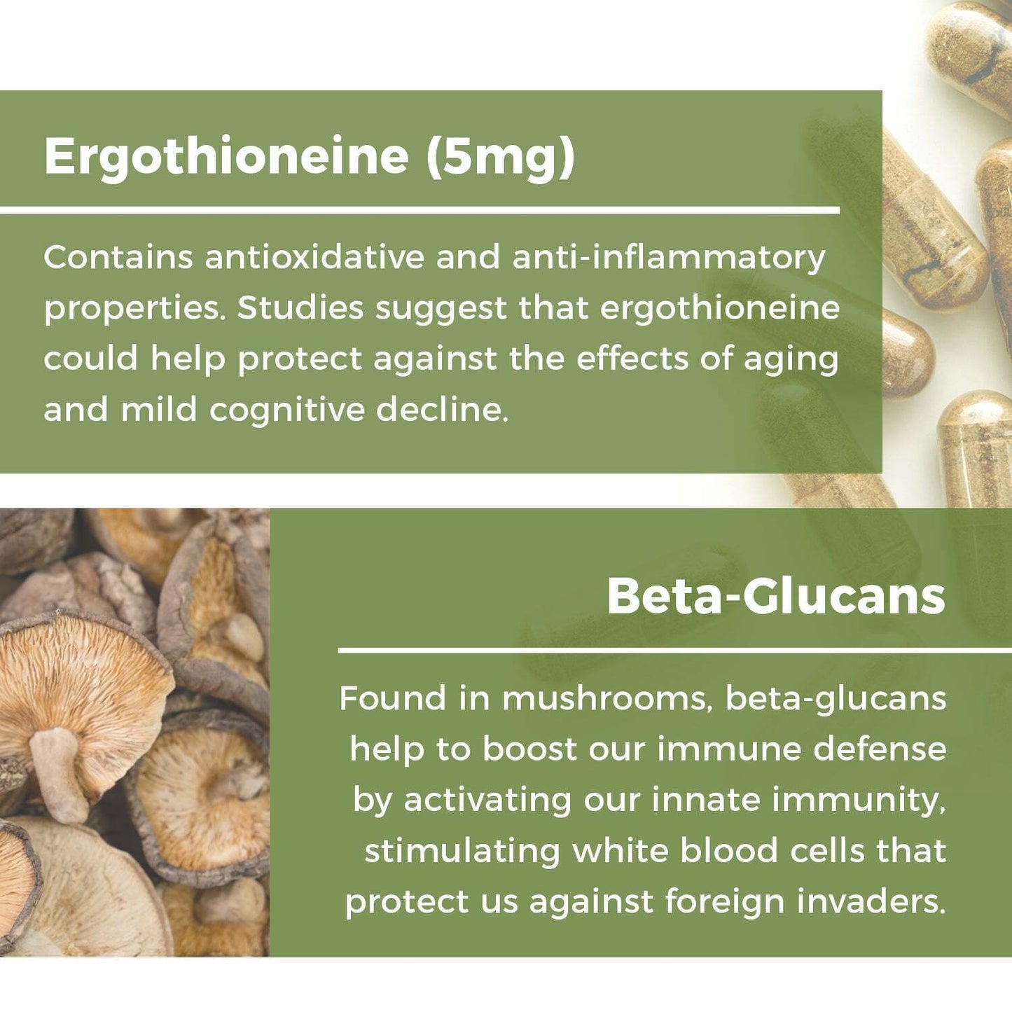 Real Mushrooms Organic Ergo+ Ergothioneine Antioxidant Pure Vegan 60 caps NEW