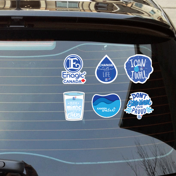 Enagic Kangen Leveluk Water Assorted Vinyl Waterproof Car Stickers 6 Pieces NEW